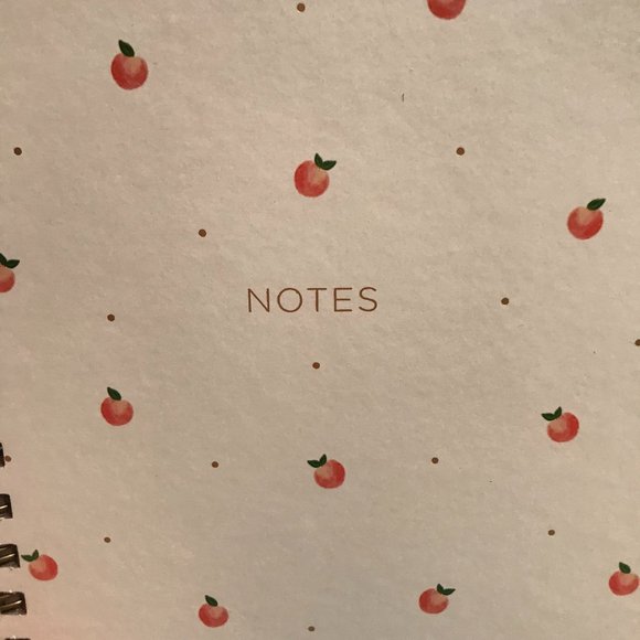 Sweet Apple Notebook Planner File Folder Bundle - Picture 2 of 9